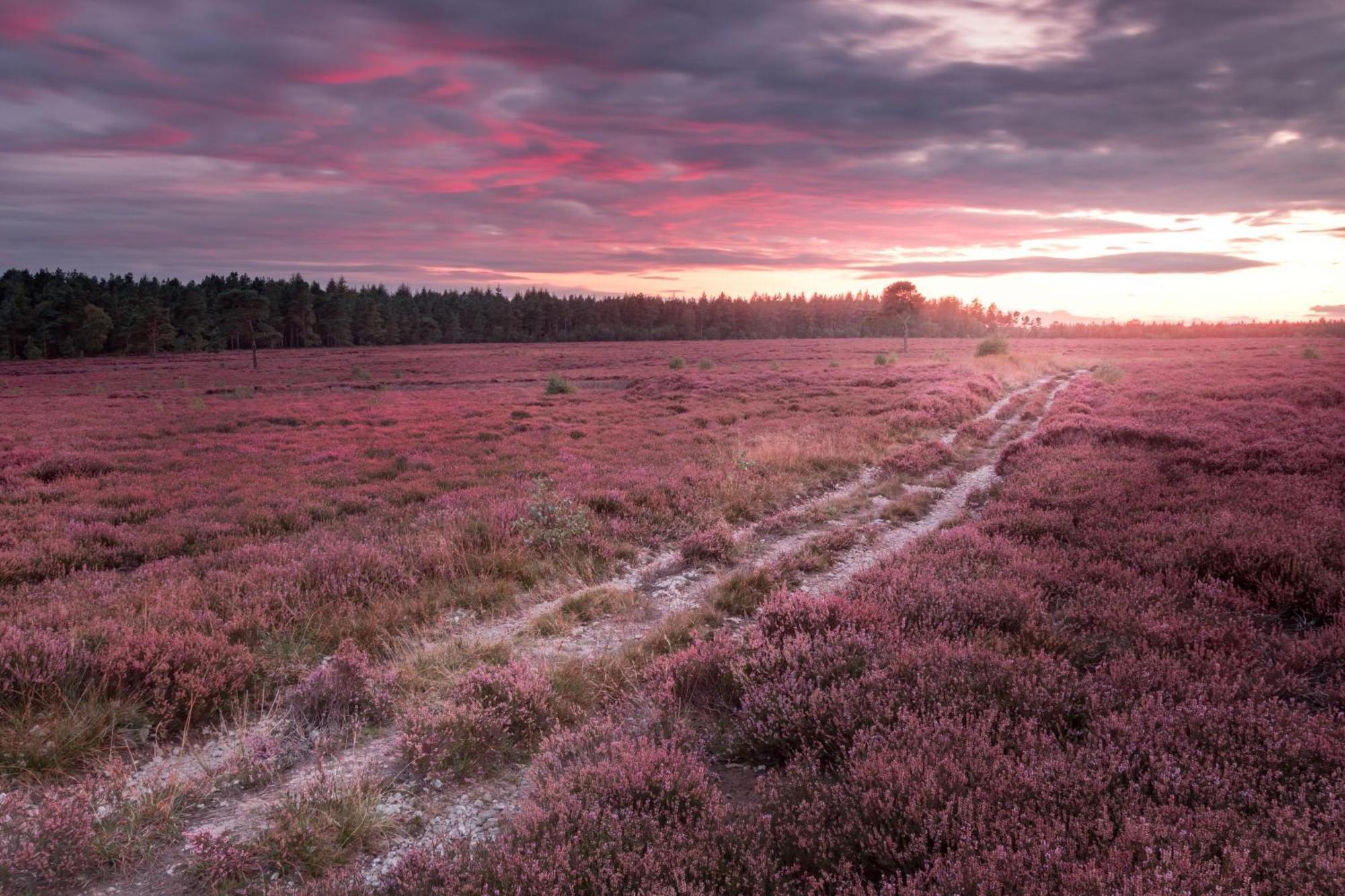 Deer View Lodge Close To Pickering Eksteriør billede